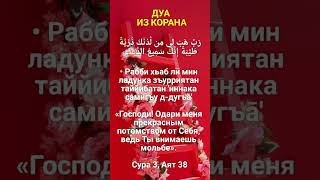 Дуа о потомстве / #ислам #мусульмане #дуа #duasfromquran #дуаизкорана #дуаопотомстве #muslim #dua