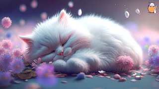 EXTRA LONG Cat Relaxation Music | Anti-Anxiety Music for Cats | Anxiety Relief in Cats | Sleepy Cat