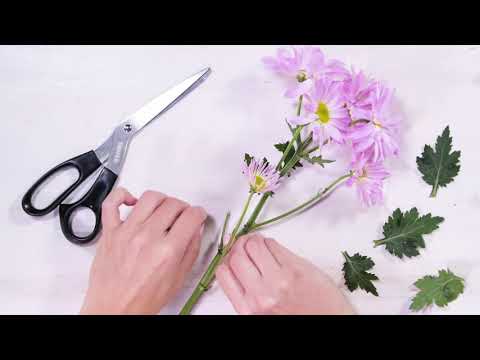 How to Make a Bouquet for Any Occasion in 5 Easy Steps
