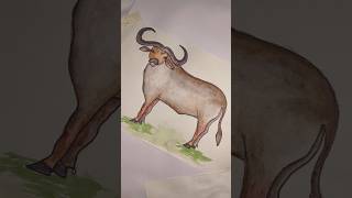 Buffalo 🦬 Easy Drawing Video #shorts #youtubeshorts #buffalo #tamil