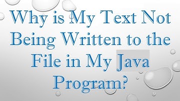 Why is My Text Not Being Written to the File in My Java Program?