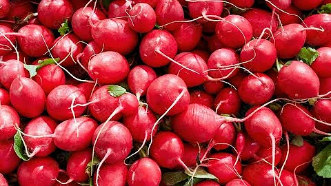 Radishes 101 - Nutrition and Health Benefits - DayDayNews