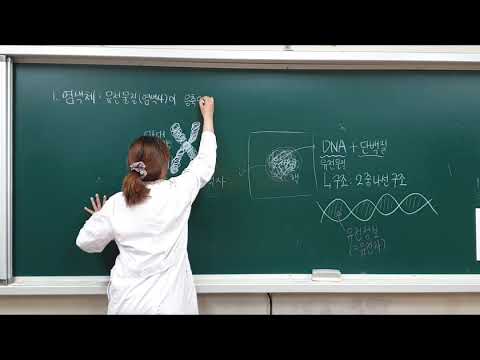 [SCIENCE]염색체의 모든 것!!!