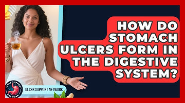 How Do Stomach Ulcers Form in the Digestive System? | Ulcer Support Network News