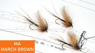 Montage d'une mouche, la March Brown