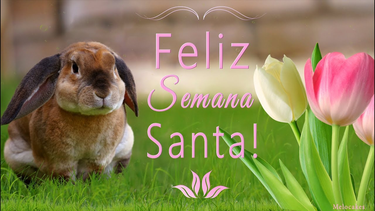 Feliz Semana Santa Youtube