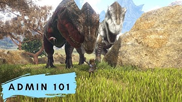 Admin 101 GMSummon & Imprint Quality: Ark Evolved Commands