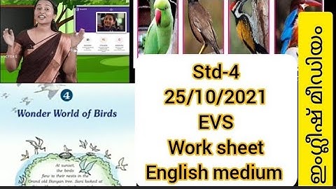 # first Bell class STD 4-EVS- Wonder World of birds #
