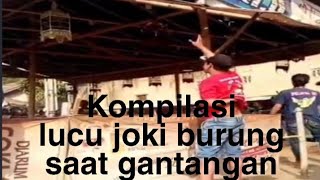 kompilasi lucu joki burung saat gantangan