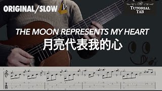 Video thumbnail of "The Moon Represents My Heart_月亮代表我的心_월량대표아적심 (Fingerstyle Tutorial with TAB)"