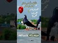 جمعة مباركة