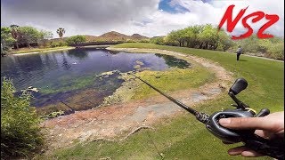 SNEAKING Into GOLF COURSE Tropical Ponds (Never Stop Tour Pt. 7)