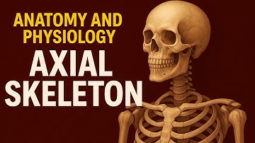 Anatomy and Physiology of Axial Skeleton