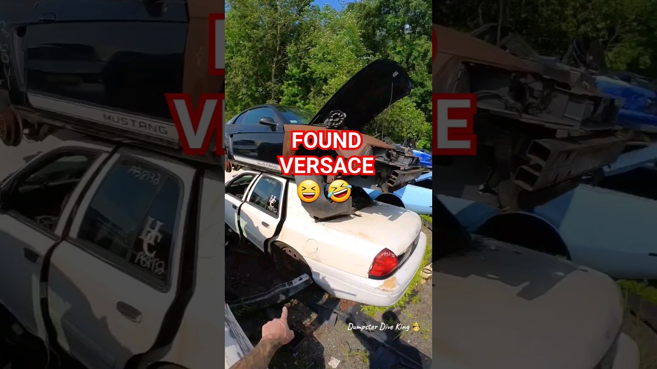 Found Versace dumpster diving for a car😆