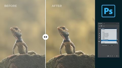 Enhance Colors with One Click in Photoshop