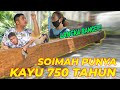 #EPS04 SPESIAL JOGJA | BERDIRI TEGAK PERKASA KAYU TUA 750TAHUN