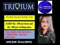 Virtual Consultancy | Trivium | New work from home jobs | Subject Matter Expert | Immediate Hiring