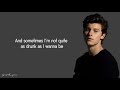 Shawn Mendes - Love Me Or Leave Me (Lyrics)