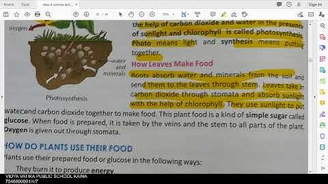 class 4 science ch 7 green plants part 2