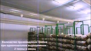 Оборудование для грибоводства. Климатическая камера - Климодулятор. Оборудование для грибоводства. Климатическая камера - Климодулятор.