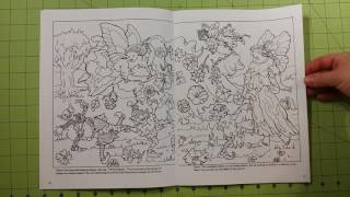 The hidden picture puzzle adult dover coloring book review flip through