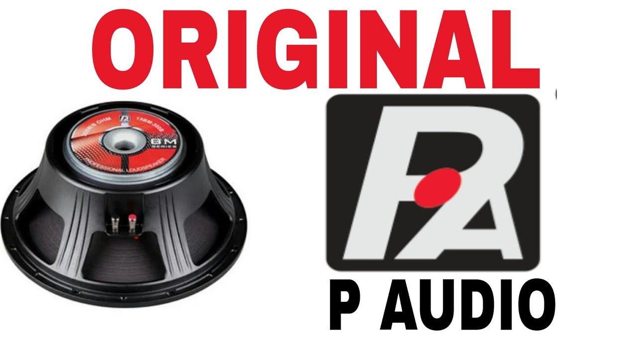 p audio 15 inch 600w speaker