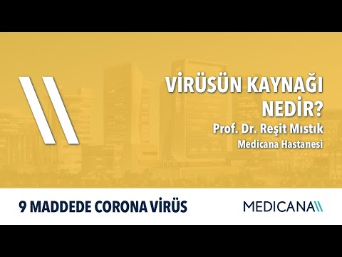 Virüsün Kaynağı Nedir? - 9 Maddede Corona Virüs - Prof. Dr. Reşit Mıstık