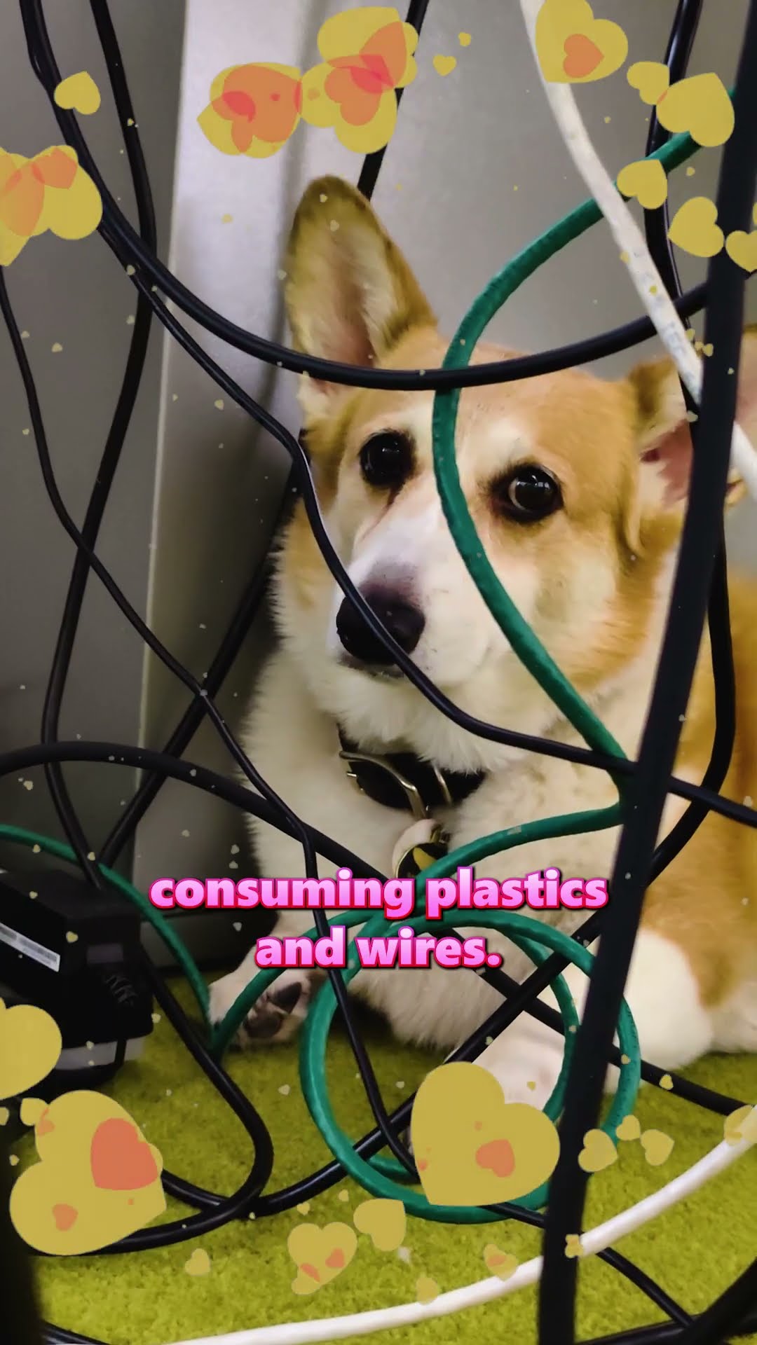 we love gamemaxxing but cannot endorse consumption of plastics and wires ??