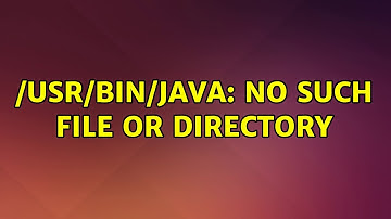 Ubuntu: /usr/bin/java: No such file or directory