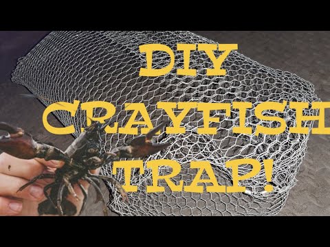 How to build your own Crayfish Trap!