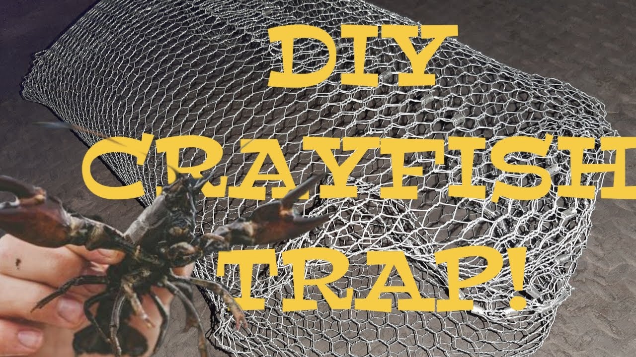 How to build your own Crayfish Trap! 