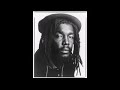 PETER TOSH MIX