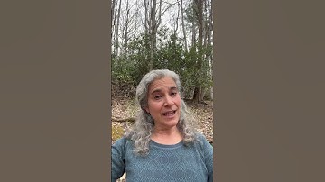 Understanding Climate Change, Step #1 - How do greenhouse gases warm the earth?