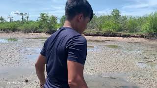 Hunting Monster Mud Crab Under Hot Sky at Sea Swamp| Solo Man Catching Mud Crab at Sea Swamp