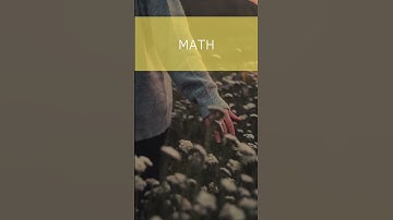 Pounds to Tons Conversion: Know the Exact Equivalent!