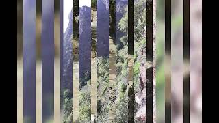 قرية المفصع-قوير-وصاب السافل