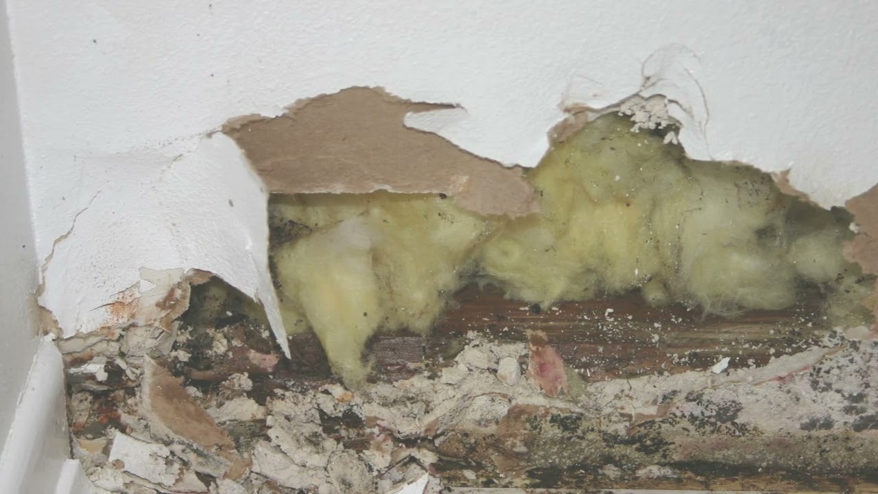 Flood damage restoration near me