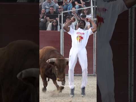 😱 SE ESCAPA DEL TORO BRAVO CON UN SALTO #toros #bull #tricks #sports #bull #jump