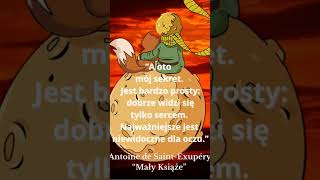 MAŁY KSIĄŻE | Cytaty O Miłości I Przyjaźni #quotation #bestquotes #złotemyśli #thought #przyjaźń
