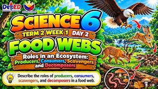 SCIENCE 6 TERM 2 WEEK 1 DAY 2 | FOOD WEBS: Producers, Consumers, Scavengers & Decomposers |Ecosystem