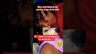 El perrito CIEGO de la calle es adoptado y amado #perros #dog #shortvideo #viral #mascotas