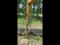 Satisfying House Demolition