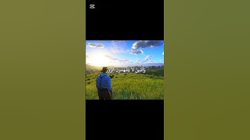 قرآن الكريم راحة للناس و طمأنينة #اكسبلور #القزابري #الرحمن #راحة_نفسية #دويتو