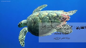 41 سورة فصلت