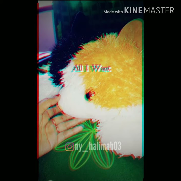 Story' WA Sedih |All I Want