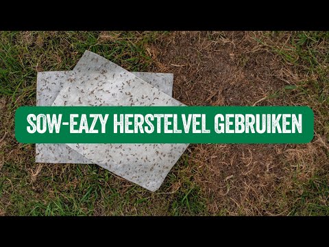 Kale plekken herstellen is Sow-Eazy - ECOstyle