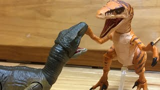 I Review The Amber Collection Velociraptors