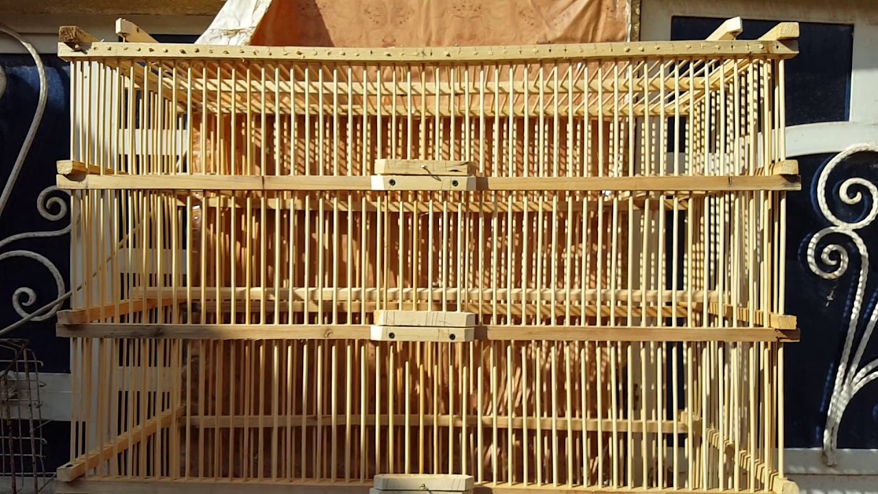 قفص تكاثر بلابل بمواصفات خاصه تفاصيل داخل فديو