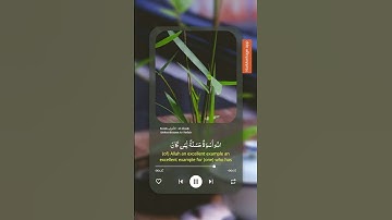 سورة الأحزاب - الآية (٢٠-٢١)