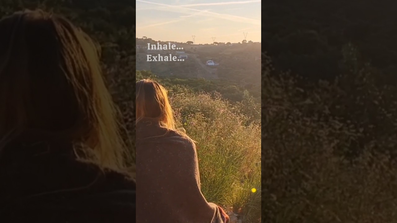 New to mediation practice? 